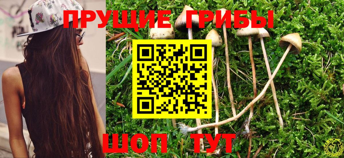 Галлюциногенные грибы Magic Shrooms  Вход с VPN  Урюпинск 